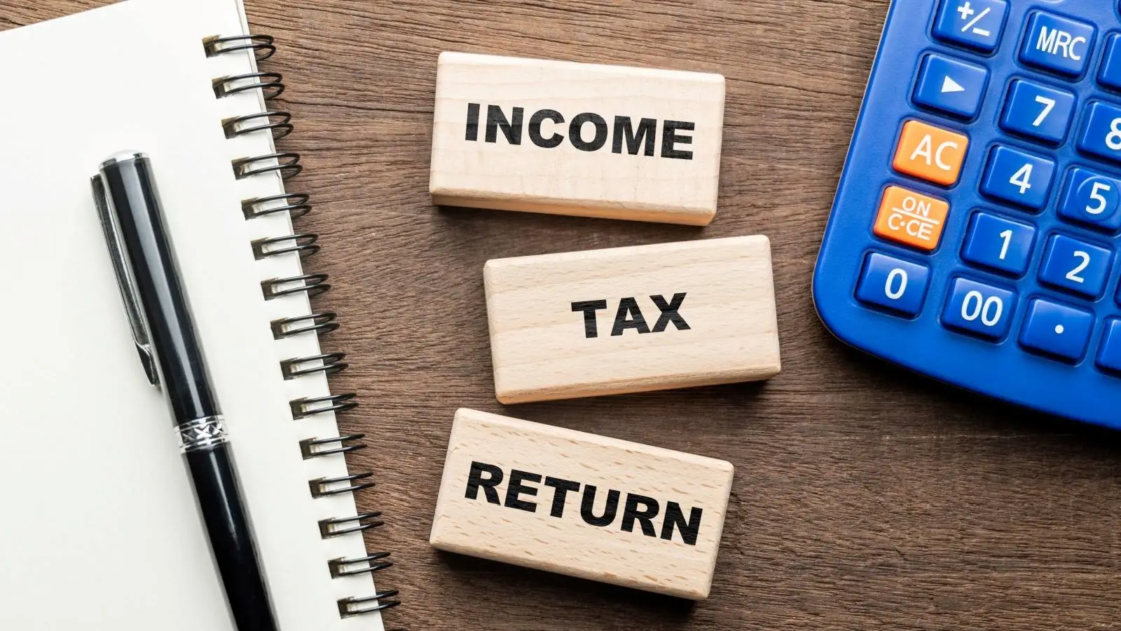 Professional ITR filing services by expert CAs